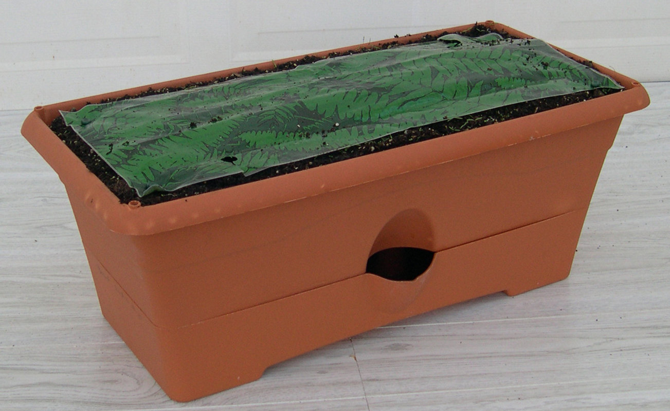 Garden Patch Ceramic Planter Box & Reviews Wayfair.ca